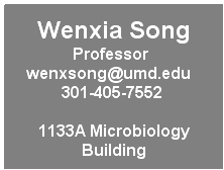 Text Box: Wenxia Song Associate Professor wenxsong@umd.edu    301-405-7552  
1133A Microbiology Building
